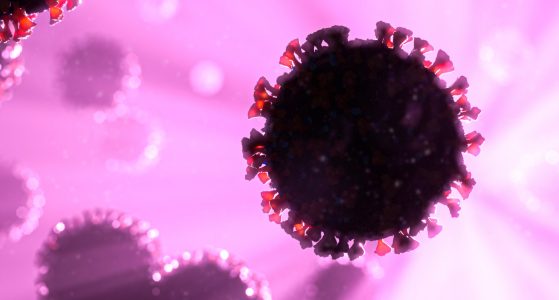 Best UV Sanitizers for Covid-19: Does UV Light Kill the Coronavirus?