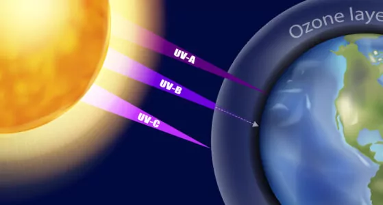 Using UV Light for Disinfection